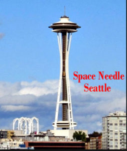 Space Needle Restraint Settle